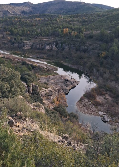 WhatsApp Image 2025-12-06 at 09.54.03